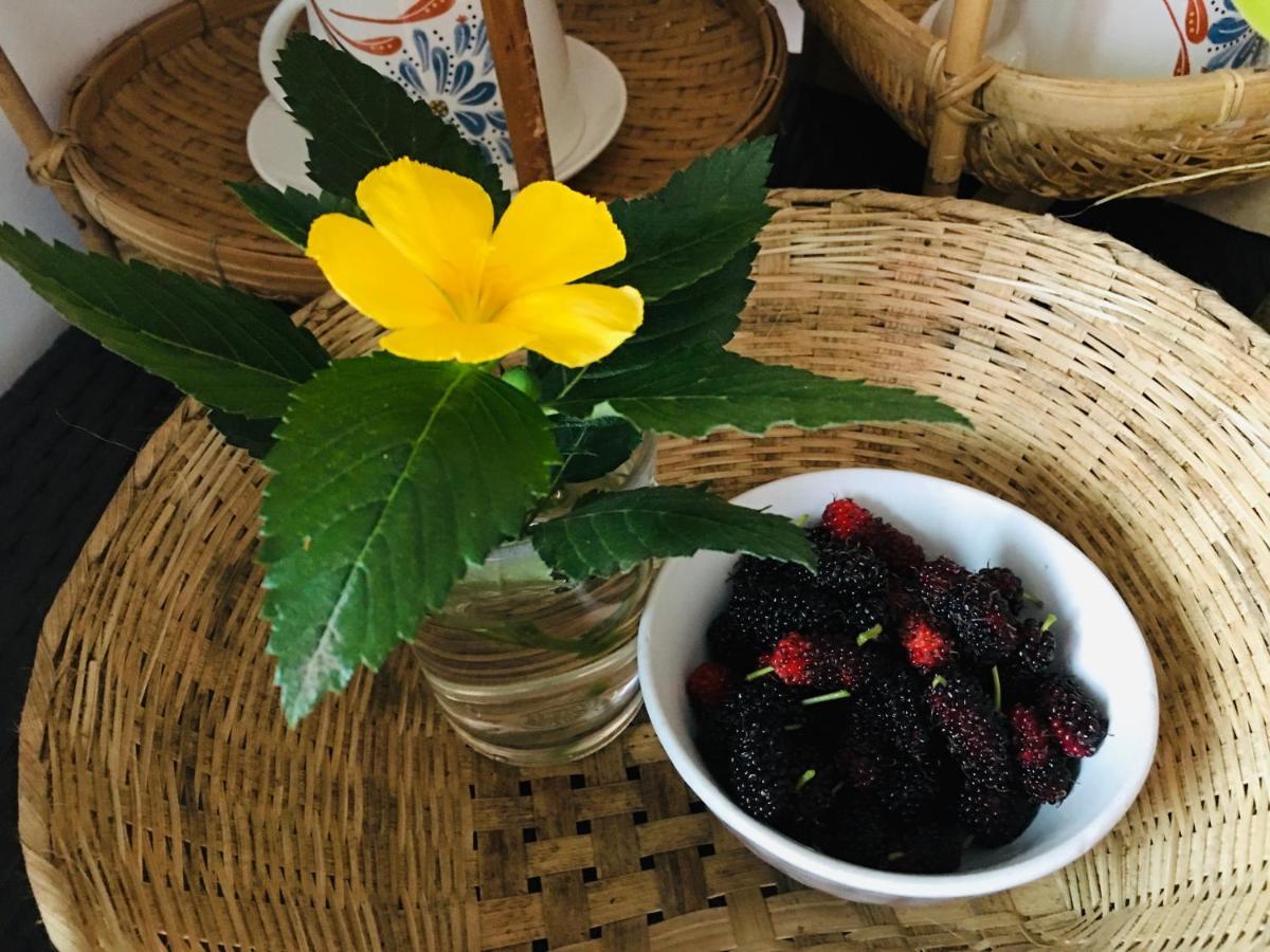 Mae-Sa-Riang Home Meszariang Kültér fotó